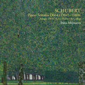 Download track Piano Sonata No. 16 In A Minor, D. 845: III. Scherzo: Allegro Vivace Irina Mejoueva