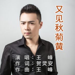 Download track 又见秋菊黄 (伴奏) Wang Feng