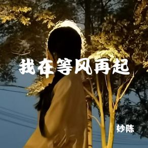 Download track 风格相同的人总会相遇 妙陈