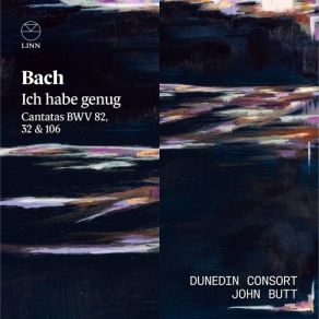 Download track 17. VI. Aria. In Deine Hände Befehl Ich Meinen Geist - Arioso Con Choral. Heute Wirst Du Mit Mir Im Paradies Sein Johann Sebastian Bach