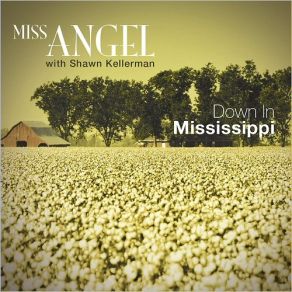 Download track Say It Ain't So Miss Angel, Shawn Kellerman