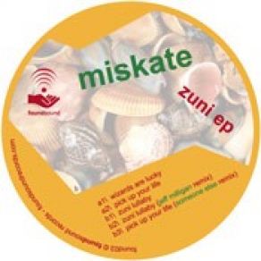 Download track Pick Up Your Life Someone Else Remix Miskate