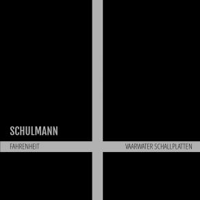 Download track Dissembler Schulmann