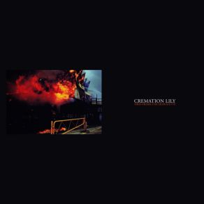 Download track Five Years Old Cremation Lily