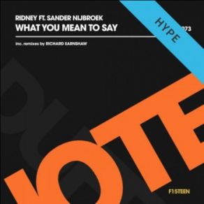 Download track What You Mean To Say (Radio Edit) Ridney, Sander Nijbroek