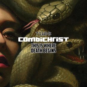 Download track Don't Care How You Feel About It Combichrist