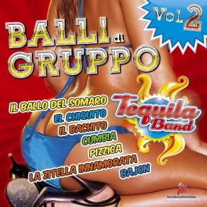 Download track Il Ballo Della Casalinga Tequila Band