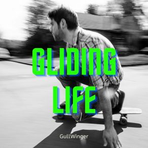 Download track Discussed Schooling Gullwinger