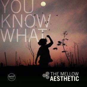 Download track Impregnable The Mellow Aesthetic