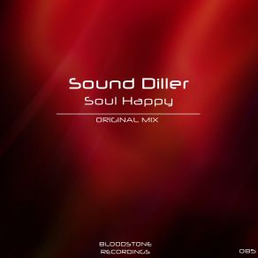 Download track Soul Happy (Original Mix) Sound Diller