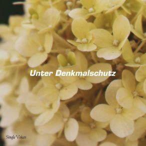 Download track Unter Denkmalschutz Single Voices