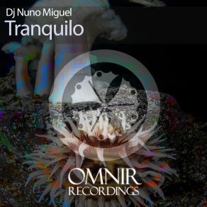 Download track Lets Play Dj Nuno Miguel