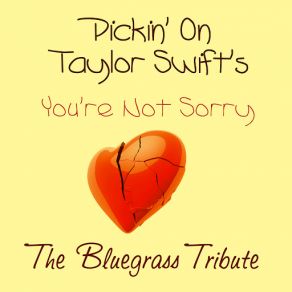 Download track You're Not Sorry Pickin' On Series