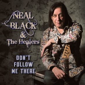 Download track Don't Follow Me There The Healers