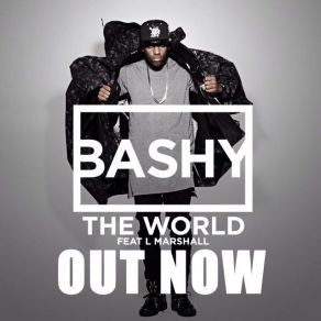 Download track The World Bashy