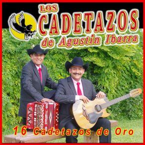 Download track Mi Corazon Esta Llorando Los Cadetazos De Agustín Ibarra