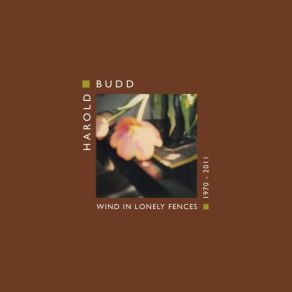 Download track Wind In Lonely Fences Harold BuddBrian Eno