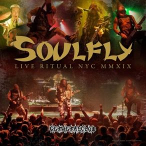 Download track Porrada (Live) Soulfly