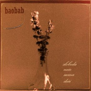 Download track Sloboda Neće Sama Doći Baobab