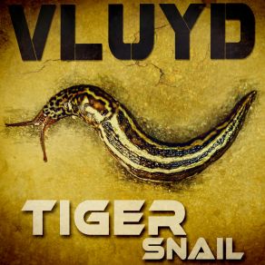 Download track Sunrise Vluyd