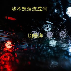 Download track 我不想泪流成河 DJ杨洋