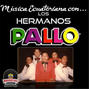 Download track Baile Tío Miguel Los Hermanos Pallo