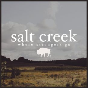 Download track Taste The Floor Salt Creek