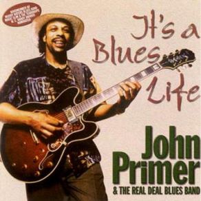 Download track I`ve Been Abused John Primer