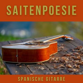 Download track Friedvolle Night Spanische Gitarre