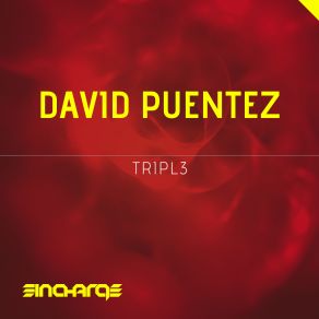 Download track Tripl3 (Original Mix) David Puentez