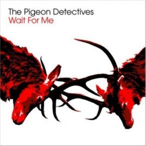Download track Caught In Your Trap The Pigeon Detectives