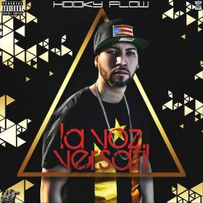 Download track No Se Lo Que Paso Hooky Flow