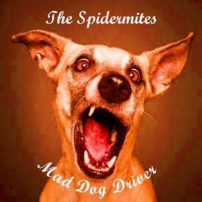 Download track Day Grows Old The Spidermites