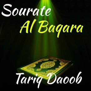 Download track Sourate Al Baqara, Pt. 5 (Quran) Tariq Daoob