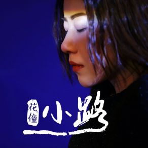 Download track 小路 (DJ光波版, 伴奏) 花僮