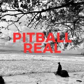 Download track Serah Pitball RealDuli