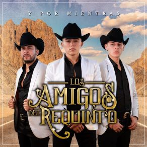 Download track Los Tiempos De Ahora Los Amigos Del Requinto