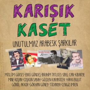 Download track Bu Ayrılık Neden Oldu Müslüm Gürses