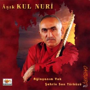 Download track Niye Gelmedin Aşık Kul Nuri