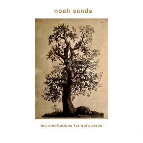 Download track The Dream Of The Fall (Piano Meditation 10) Noah Sands