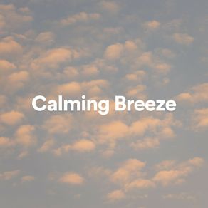 Download track Calming Breeze, Pt. 20 Sonidos De La Naturaleza Para Dormir