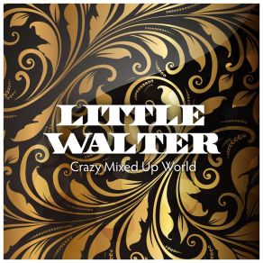 Download track I'm Ready Little WalterMuddy Waters