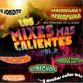 Download track Limonadas Verdes / Sabroso Guarare / La Yaquecita / La Del Mono Colorado (Cumbias Mix) Los Perrones De La Radio