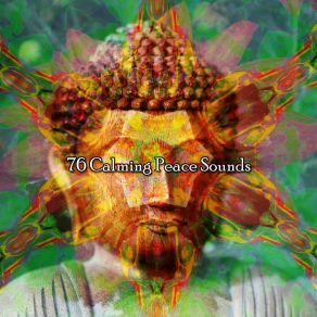 Download track Brief Enclosing Peace Yoga Music