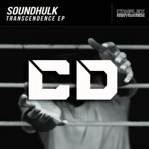 Download track Transcendence (Original Mix) SoundHulk