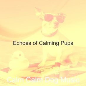 Download track Bright Doggies Calm Calm Dog Music