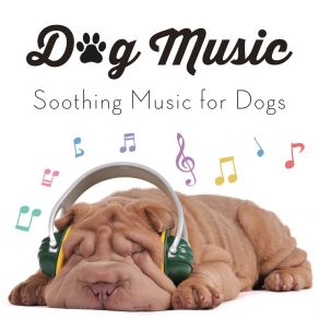 Download track Cute Little Doggy Dog Music Experience