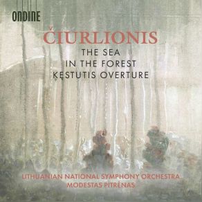 Download track In The Forest Lithuanian National Symphony Orchestra, Modestas Pitrenas