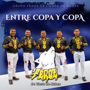 Download track La Chilena De Mi Tierra Grupo Feroz De Tierra De Nubes