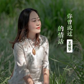 Download track 你曾说过的情话 (伴奏) 王爱华